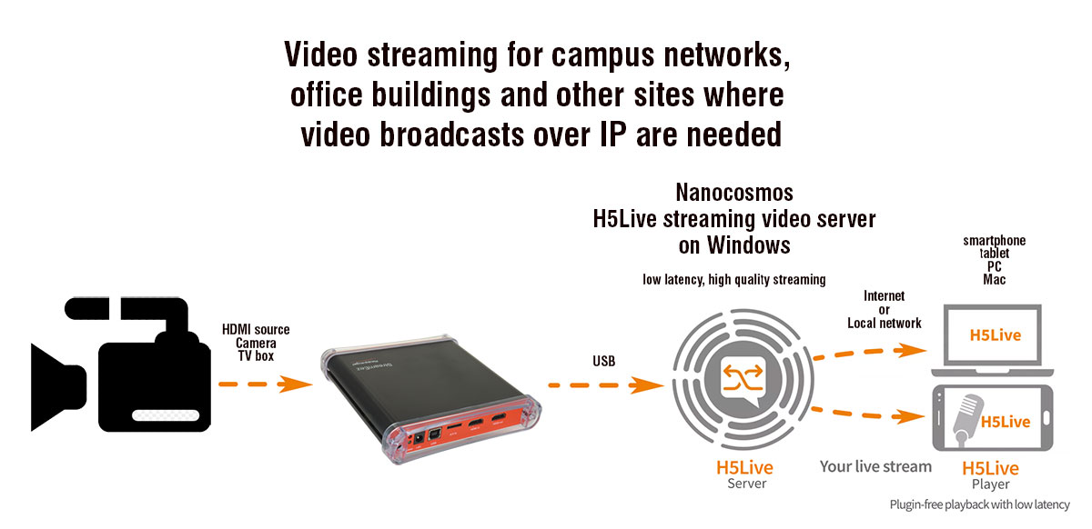 Nanocosmos